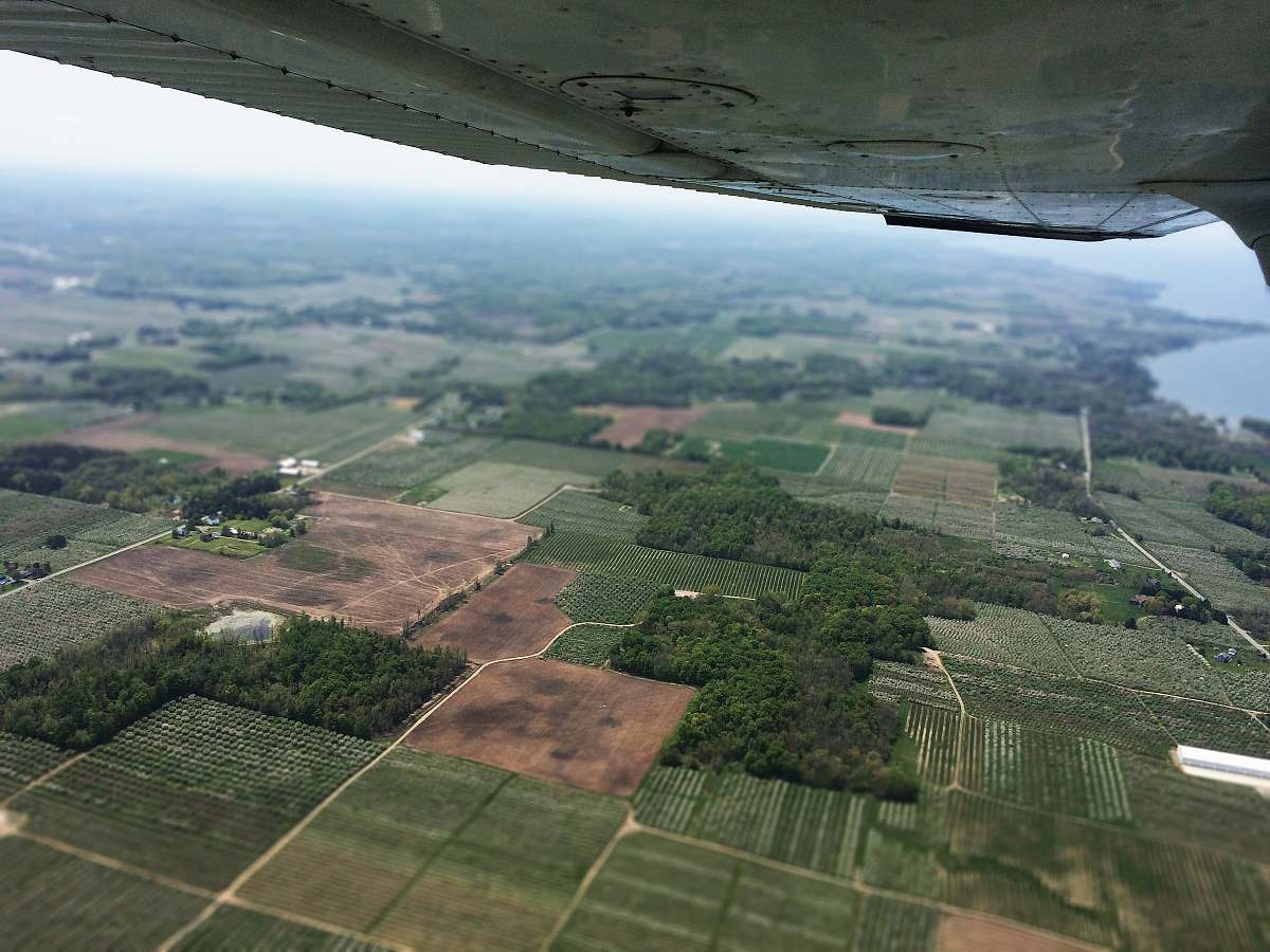 aerial view areal photography of green field nature